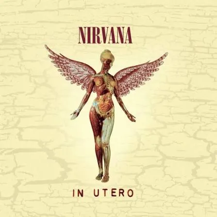 نت و تبلچر Heart-Shaped Box nirvana